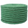vidaXL Lina Bawełniana 20 mm 100 m zielony 100% bawełna