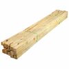 vidaXL Klatka dla drobiu, 3x1,5x1,5 m, impregnowana sosna