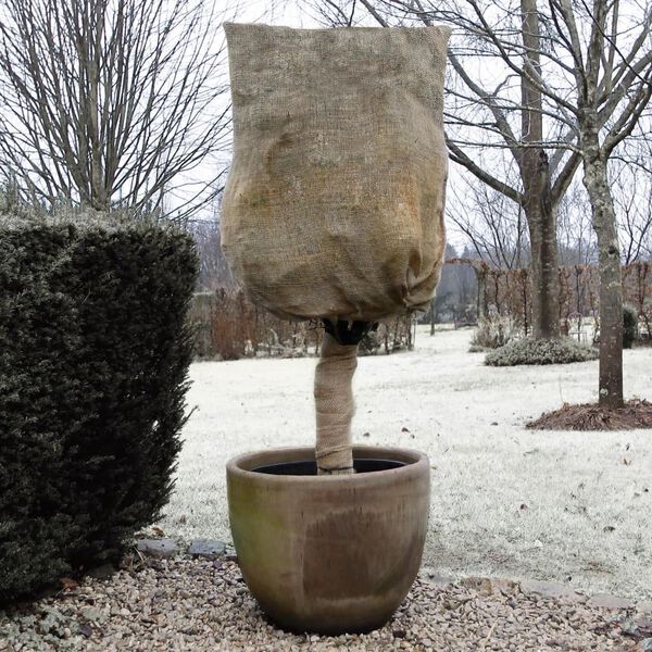 Nature Zimowa osłona z juty, 230 g/m&sup2;, naturalna, 0,75x1 m