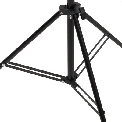 vidaXL Stojak na tło, T-kształtny, czarny, 201x60x(70-200) cm