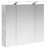 vidaXL Szafka z lustrem do łazienki Betonowy szary 80 x 14.5 x 70 cm