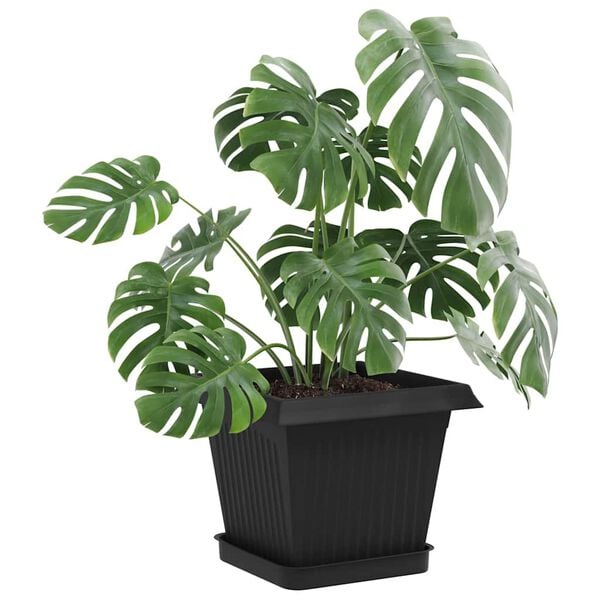 Wyświetlanie zdjęcia produktu 3 z 10