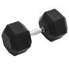 vidaXL Hantel, 30 kg, żeliwo