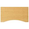 vidaXL Blat do biurka, 100x60x2,5 cm, bambusowy
