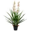 vidaXL Sztuczny storczyk cymbidium z doniczką, 100 cm, zielony