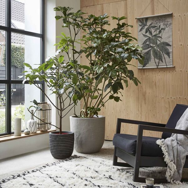 Capi Owalna donica Nature Row, 43 x 41 cm, antracytowa, KRWZ933