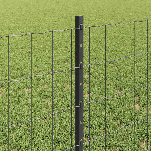 Wyświetlanie zdjęcia produktu 4 z 13