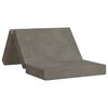 vidaXL Składana Sofa Ł&oacute;żko 80 x 67 x 45 cm jasnoszary