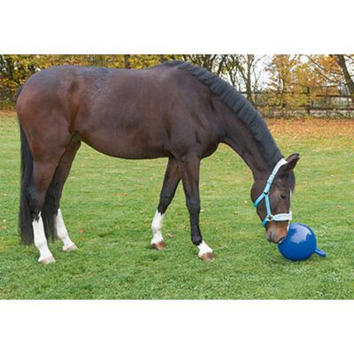 Kerbl Piłka dla konia, niebieska, 25 cm, 32399