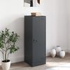 vidaXL Szafka, antracytowa, 34,5x39x107 cm, stal