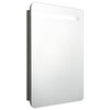vidaXL Szafka łazienkowa z lustrem i LED, antracytowa, 60 x 11 x 80 cm