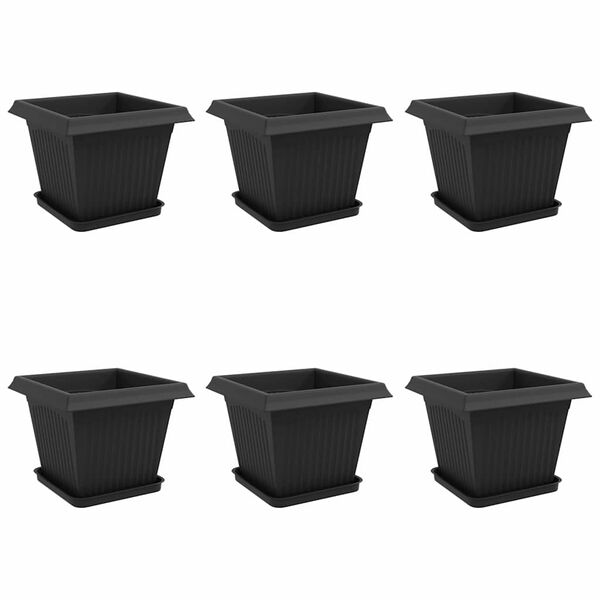 Wyświetlanie zdjęcia produktu 1 z 12