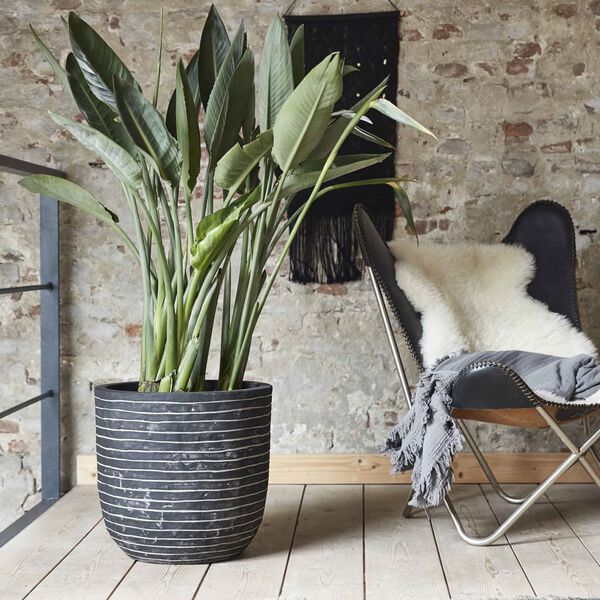 Capi Owalna donica Nature Row, 43 x 41 cm, antracytowa, KRWZ933