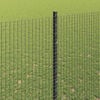 Miniatura produktu 4 z 14