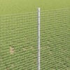 Miniatura produktu 4 z 14