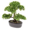 Emerald Sztuczny fikus mini Bonsai, zielony, 32 cm, 420002