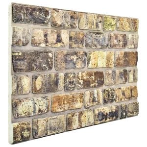 vidaXL Panele ścienne 10 szt. 100 x 50 cm Wielokolorowe Pianka EPS
