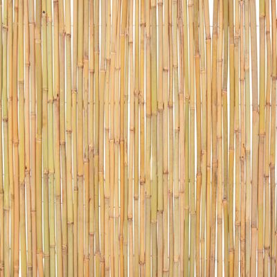 vidaXL Ogrodzenie z bambusa, 300 x 100 cm