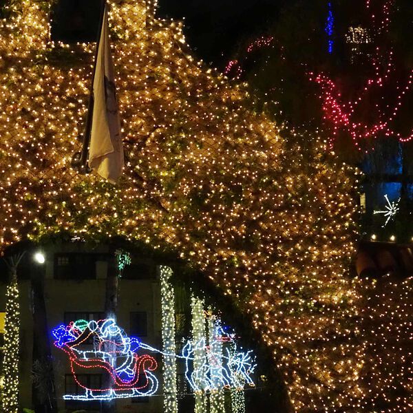 vidaXL Siatka LED Ciemna zieleń