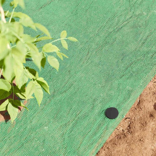 vidaXL Plastikowe kołki 100 pcs Czarny &Oslash;3 x 11 cm