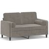 vidaXL 2-osobowa sofa z poduszkami, jasnoszara, 120 cm, aksamit
