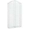 vidaXL Łukowaty kosz gabionowy 100x30x180/200 cm, galwanizowane żelazo
