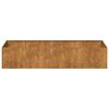 vidaXL Doniczka Rusty 200x80x40 cm Stal nierdzewna