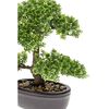 Emerald Sztuczny fikus mini Bonsai, zielony, 32 cm, 420002