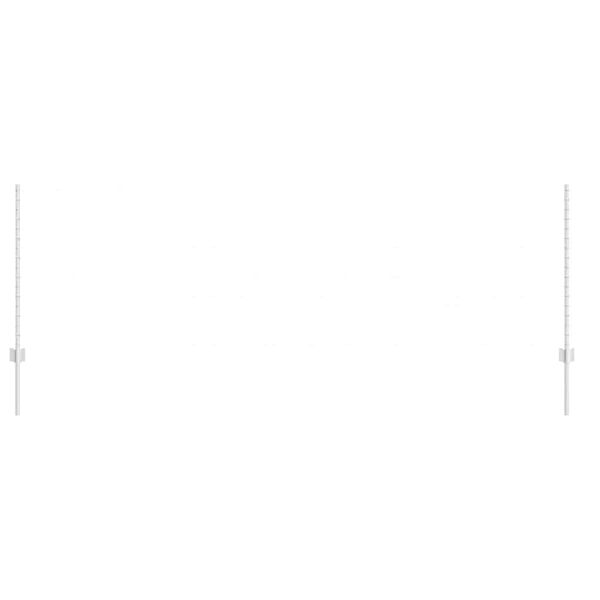 vidaXL Słupek ogrodzeniowy. 11 pcs Srebrny 100 cm Stal