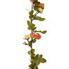 Miniatura produktu 6 z 7