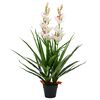 vidaXL Sztuczny storczyk cymbidium z doniczką, 100 cm, zielony