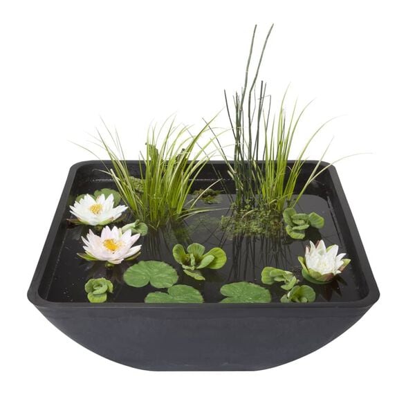 Velda Kwadratowe oczko wodne z fontanną, 75x75x35 cm, 123516
