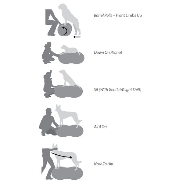 FitPAWS Platforma r&oacute;wnoważna Trax Peanut, 60 cm, niebieska