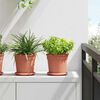 Miniatura produktu 2 z 12