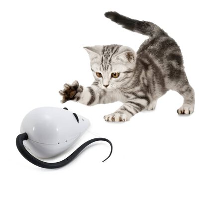 FroliCat Interaktywna zabawka dla kota RoloRat