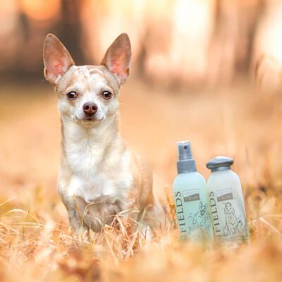 Greenfields Zestaw do pielęgnacji psów: szampon i spray, 2x250 ml
