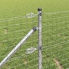 Miniatura produktu 4 z 11