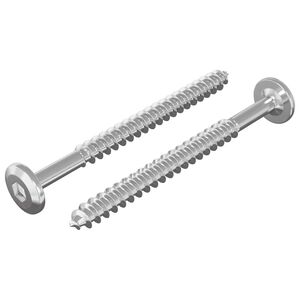 vidaXL Wkręty Drewniane 2 szt. srebrny M6 x 70 mm Stal