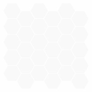 vidaXL Płytka heksagonalna 10 szt. Biały 30 x 30 cm Poliuretan i PET