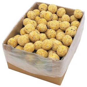 vidaXL Kulki tłuszczowe dla ptak&oacute;w, 200 szt., 90 g