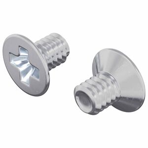 vidaXL Śruby z wpuszczonym łbem 2 szt. Srebrny M4 x 6 mm Stal