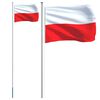 vidaXL Flaga Polski z masztem, 6,08 m, aluminium