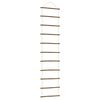 vidaXL Dekoracje ścienne, drabinka, 2 szt., 50x200 cm, naturalna gałąź