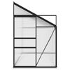 vidaXL Szklarnia, antracytowa, aluminium, 7,77 m&sup3;