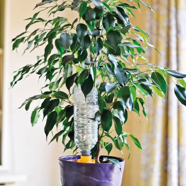 Hozelock Nawadniacze do roślin Aquasolo, 4 szt., rozmiar L