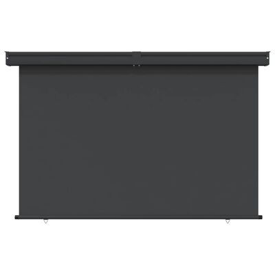 vidaXL Markiza boczna na balkon, 165x250 cm, czarna