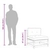 vidaXL Ogrodowa sofa bez podłokietnik&oacute;w, z poduszkami i podn&oacute;żkami