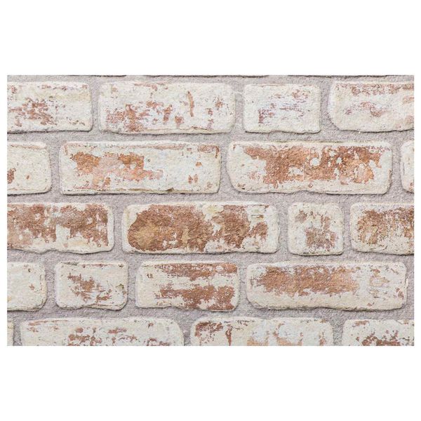 vidaXL Panele ścienne 10 pcs Czerwony i Biały 100 x 50 cm Pianka EPS