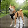 Miniatura produktu 2 z 11