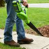 Greenworks Odkurzacz do liści z uchwytem, 40 V, zielony
